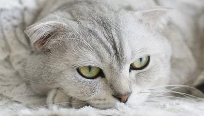 中国U22男足今晚小组首战