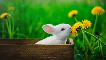 中国U22男足今晚小组首战